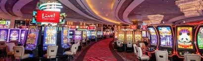 Tampilan live dealer roulette di aplikasi dollar99 menampilkan studio multi-kamera profesional